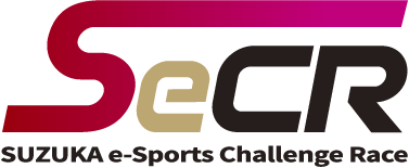 SeCR e-Sports Challange Race